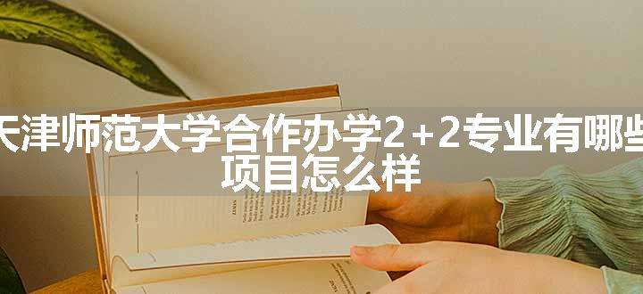 天津师范大学合作办学2+2专业有哪些 项目怎么样