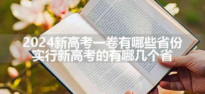 2024新高考一卷有哪些省份 实行新高考的有哪几个省