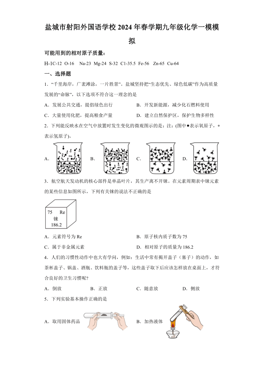 2024年江苏省盐城市射阳外国语学校中考一模化学试题（含解析）