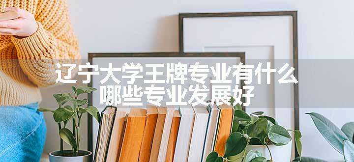 辽宁大学王牌专业有什么 哪些专业发展好