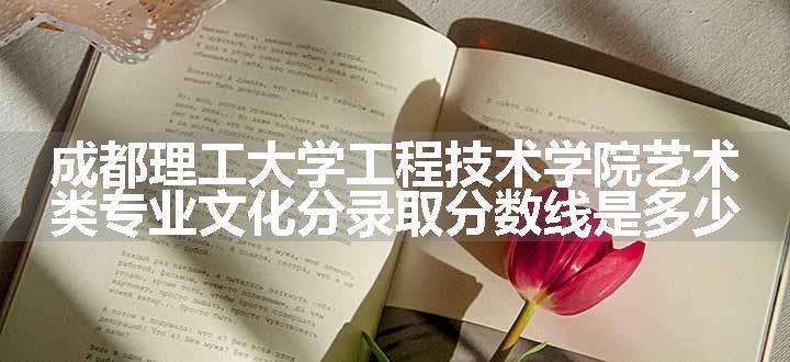 成都理工大学工程技术学院艺术类专业文化分录取分数线是多少