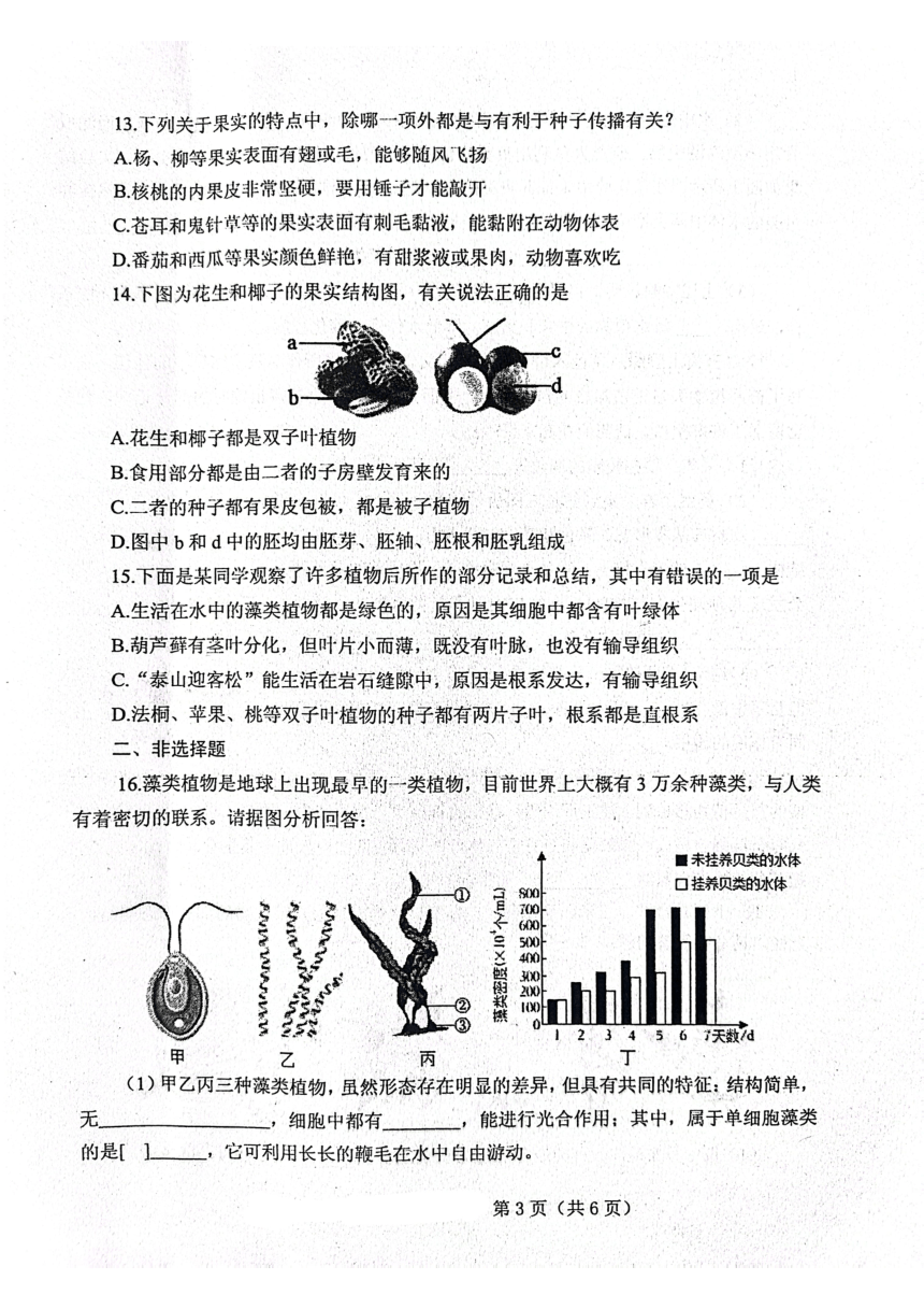 山东省泰安市肥城市边院镇初级中学2023—2024学年六年级下学期第一次月考生物试题（PDF版含答案）