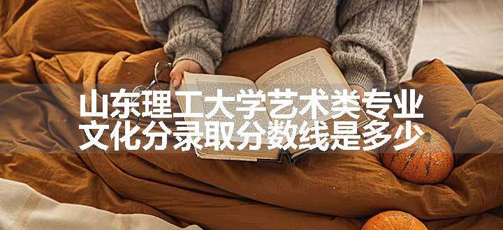 山东理工大学艺术类专业文化分录取分数线是多少