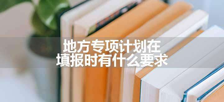 地方专项计划在填报时有什么要求