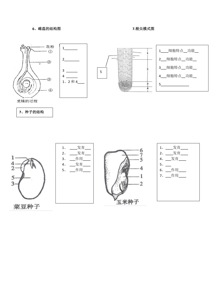 苏教版生物会考第二轮复习识图部分（无答案）