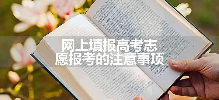 网上填报高考志愿报考的注意事项