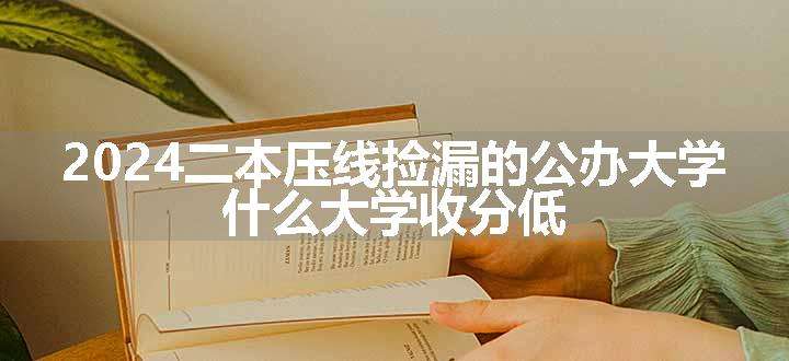 2024二本压线捡漏的公办大学 什么大学收分低