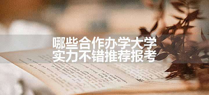 哪些合作办学大学实力不错推荐报考