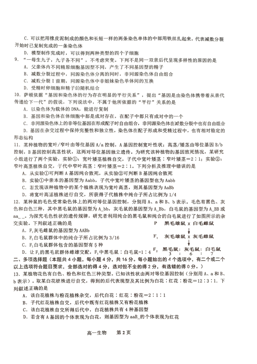 江西省景德镇市2023-2024学年高一下学期4月期中生物试题（PDF版无答案）