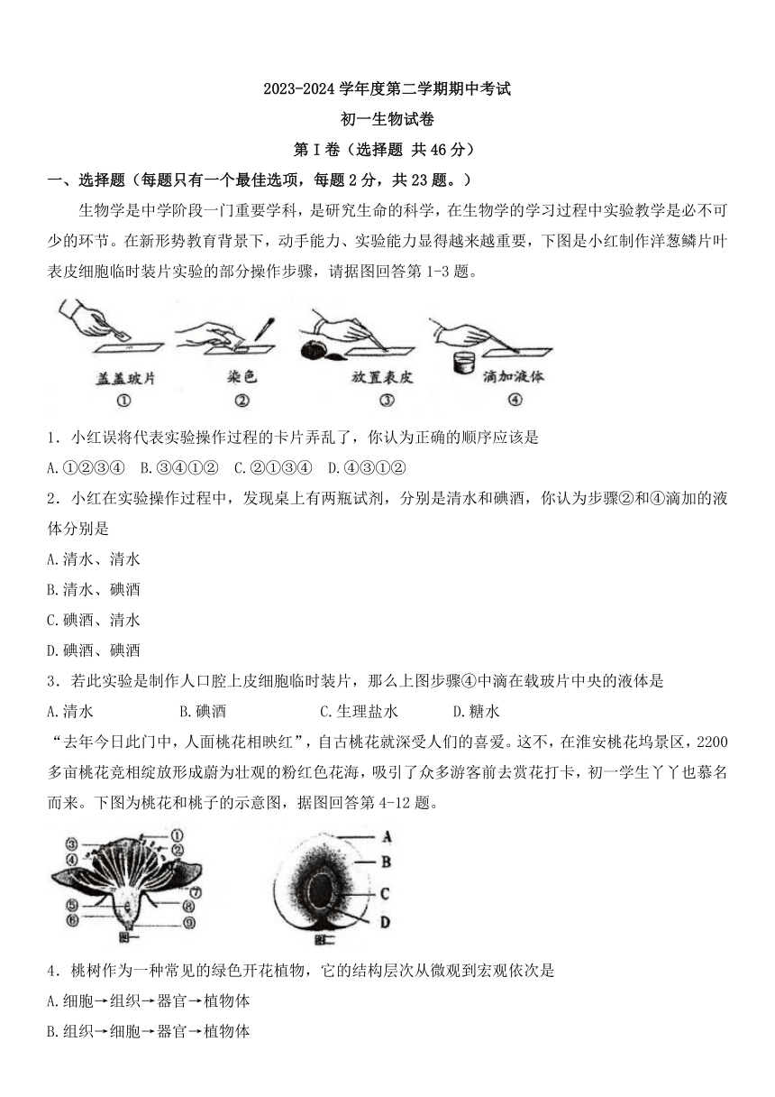 江苏省淮安市多校2023-2024学年七年级下学期4月期中生物试题（无答案）