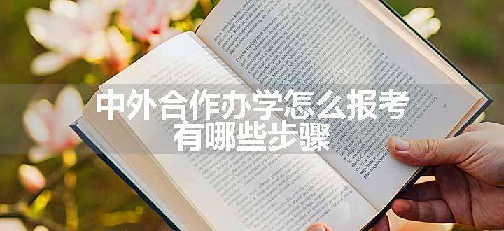 中外合作办学怎么报考 有哪些步骤