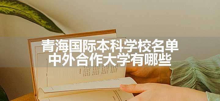 青海国际本科学校名单 中外合作大学有哪些