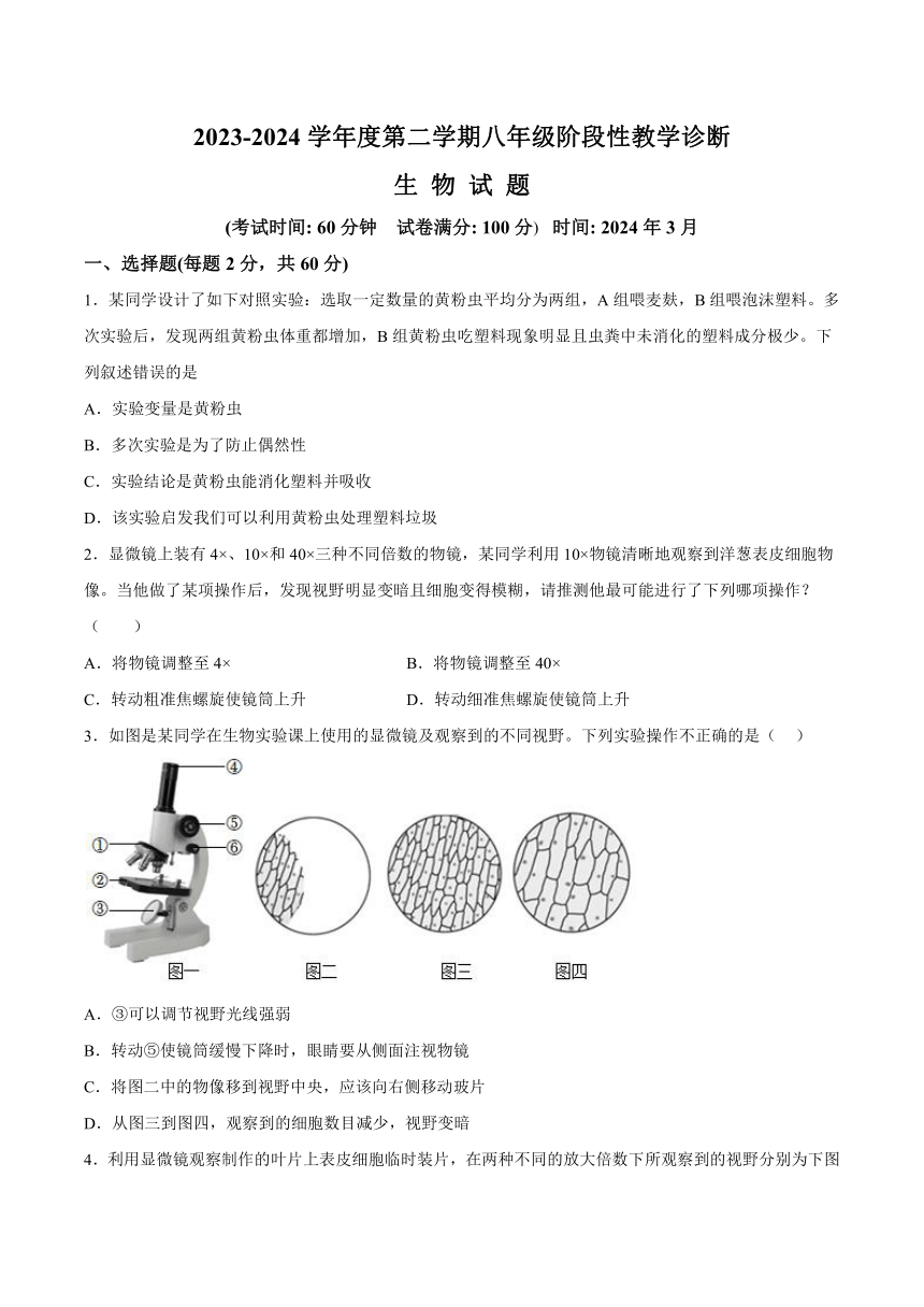 山东省枣庄四十一中2023-2024学年八年级下学期第一次月考生物试题（含解析）