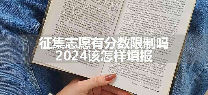 征集志愿有分数限制吗 2024该怎样填报