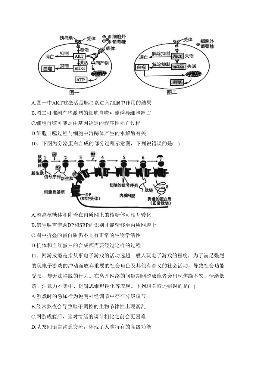 湖南衡阳名校2024届高三复习周练 4月第4周 生物学试题（含解析）