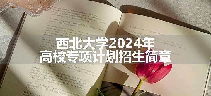 西北大学2024年高校专项计划招生简章