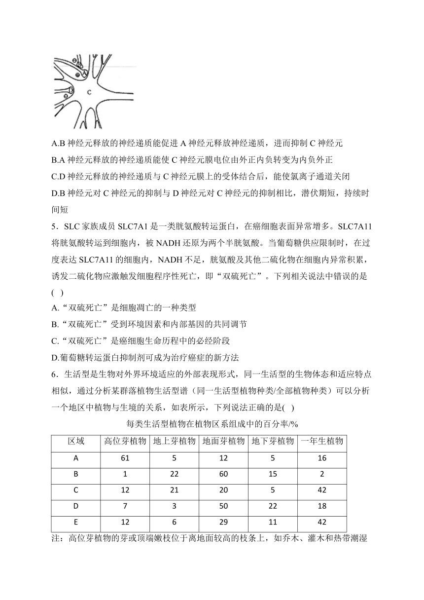 湖南衡阳名校2024届高三复习周练 4月第4周 生物学试题（含解析）