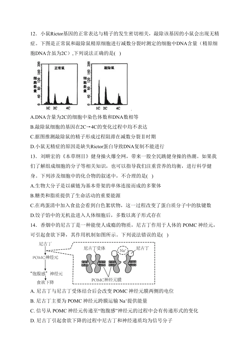 湖南衡阳名校2024届高三复习周练 4月第4周 生物学试题（含解析）