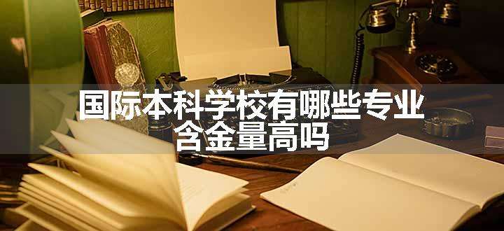 国际本科学校有哪些专业 含金量高吗