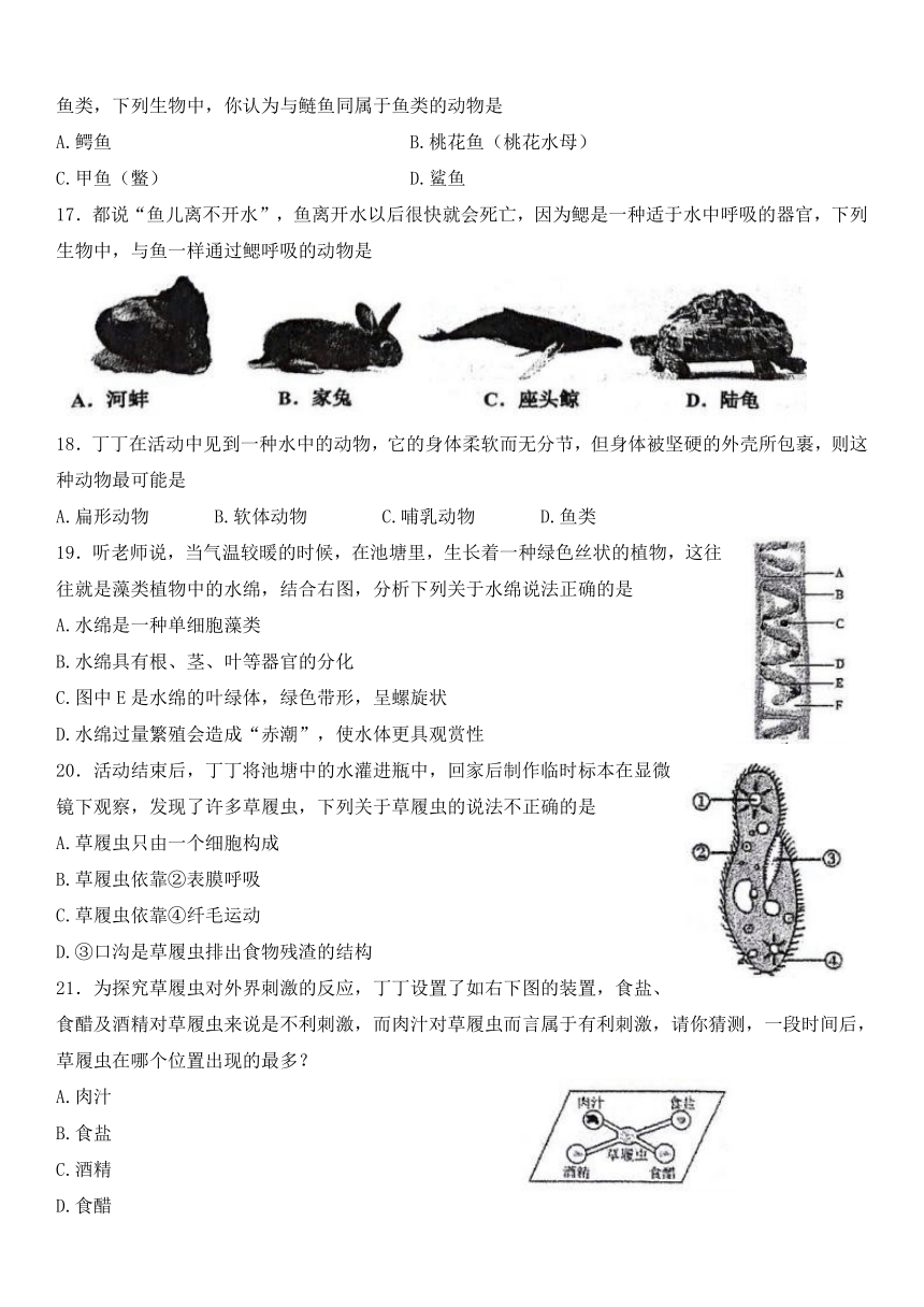 江苏省淮安市多校2023-2024学年七年级下学期4月期中生物试题（无答案）