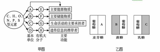 甲图是生物体内四种有机物的组成与功能关系图，乙图是二糖的组成图，请据图回答下列问题。（1）构成细胞的最基...