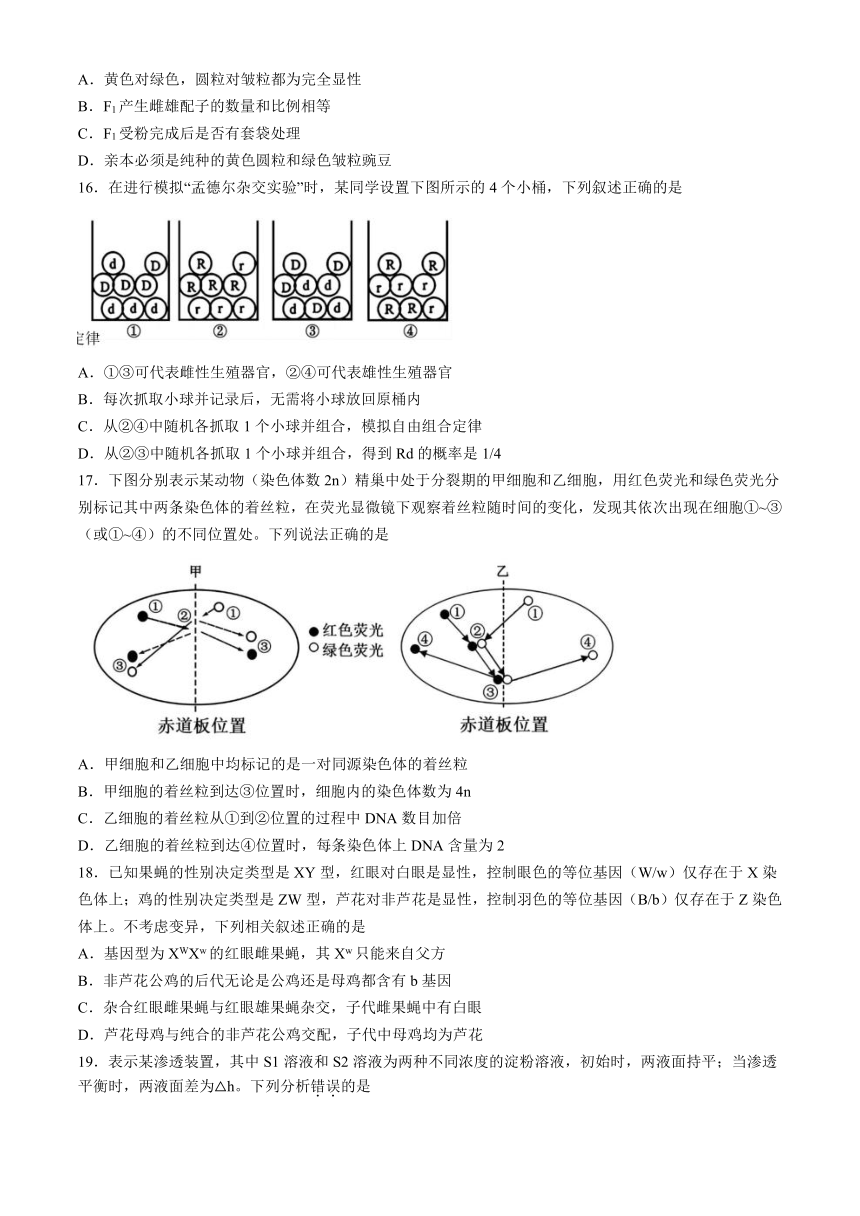 广东省广州市第六中学2023-2024学年高一下学期期中考试生物学试题（含答案）