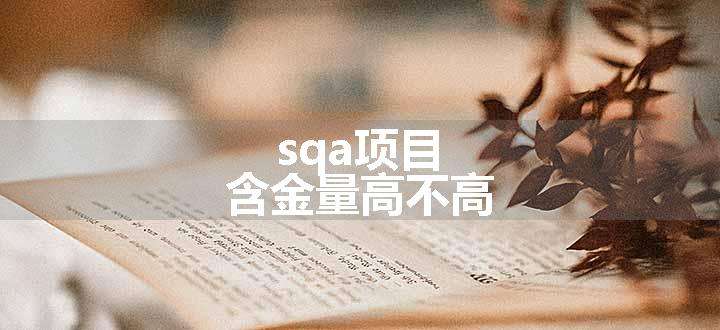 sqa项目含金量高不高