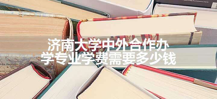 济南大学中外合作办学专业学费需要多少钱