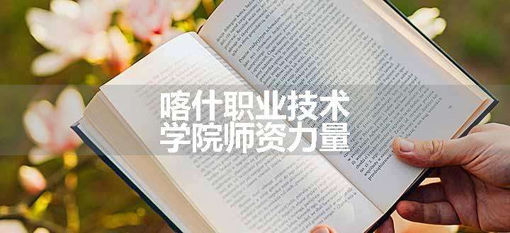 喀什职业技术学院师资力量