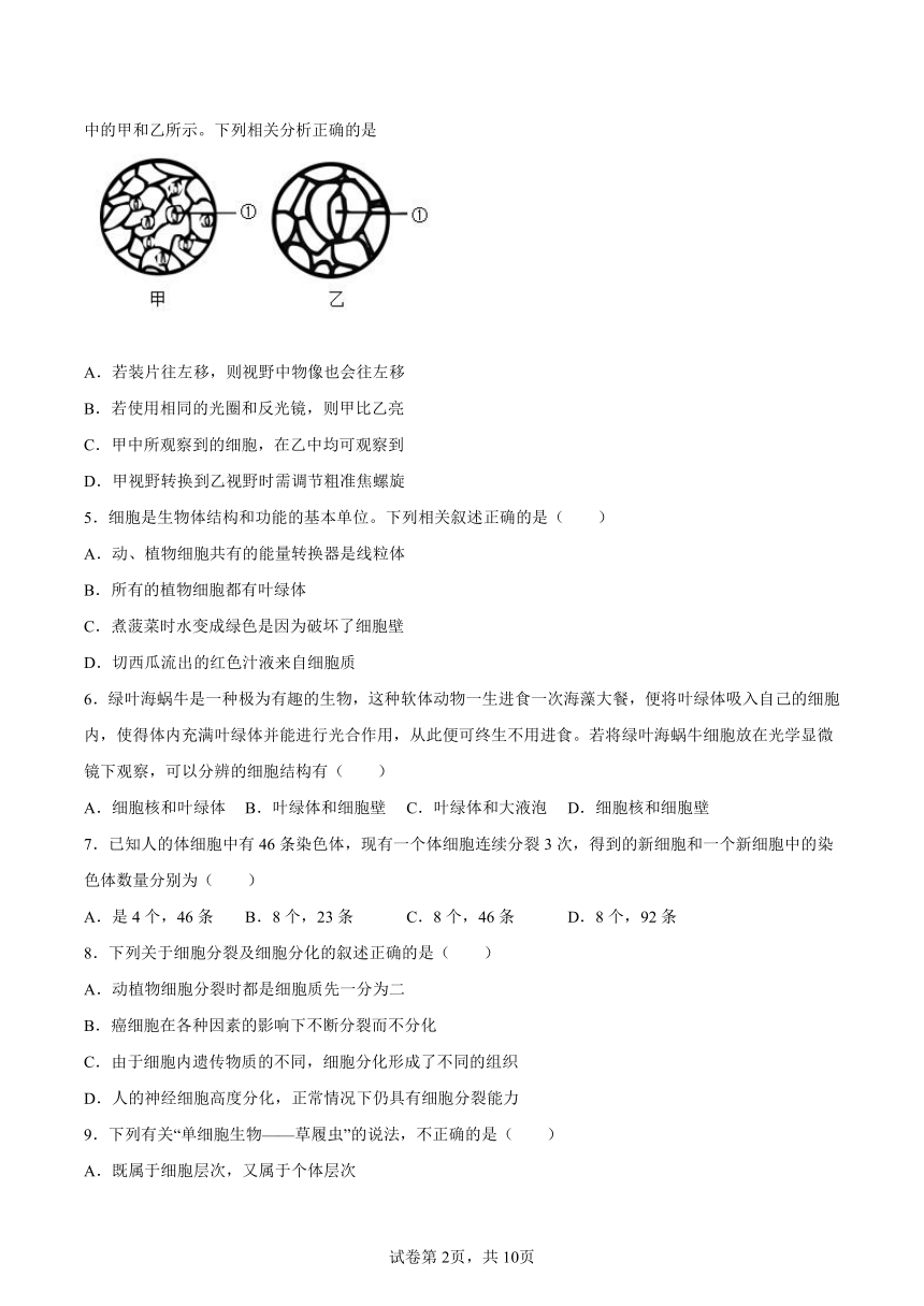 山东省枣庄四十一中2023-2024学年八年级下学期第一次月考生物试题（含解析）