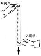 （1）同学们利用如右图所示方法估测反应时间。首先，甲同学捏住直尺上端，使直尺保持竖直状态，直尺零刻度线位...