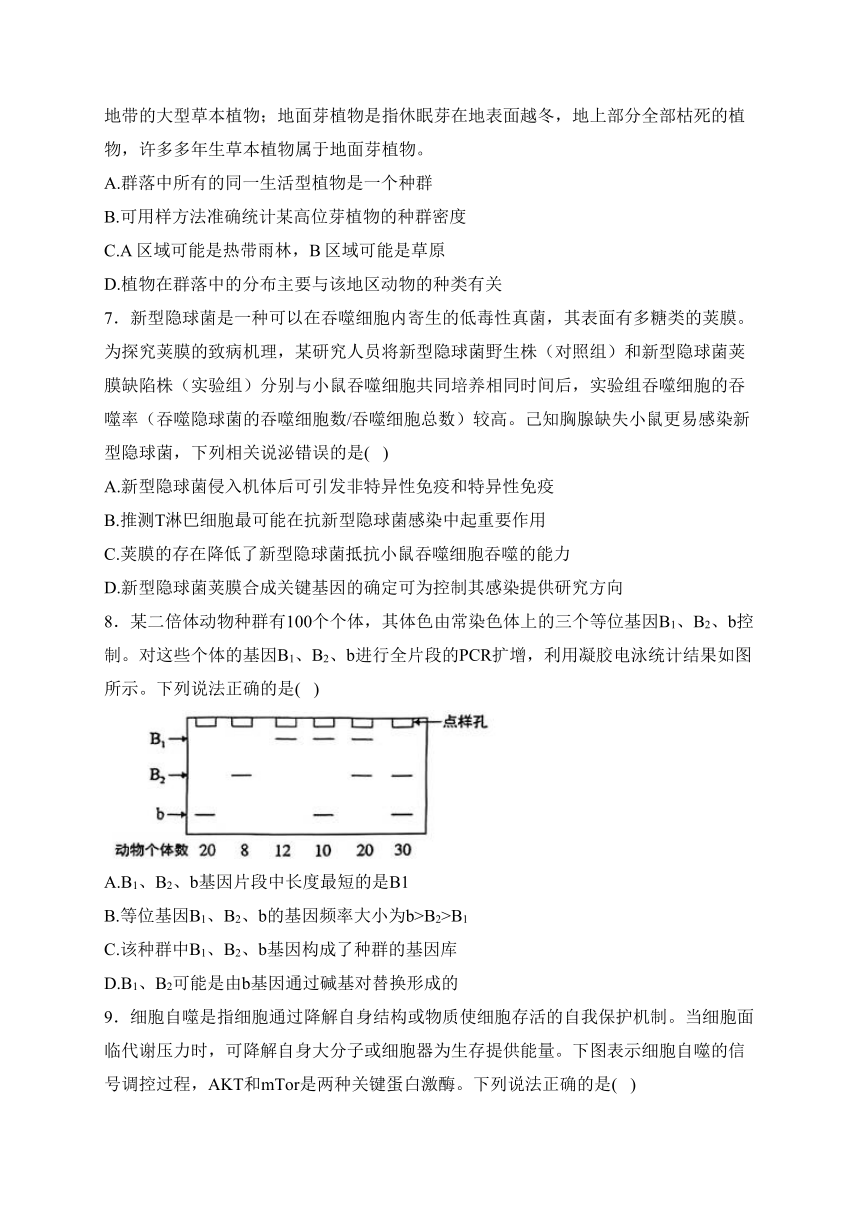 湖南衡阳名校2024届高三复习周练 4月第4周 生物学试题（含解析）