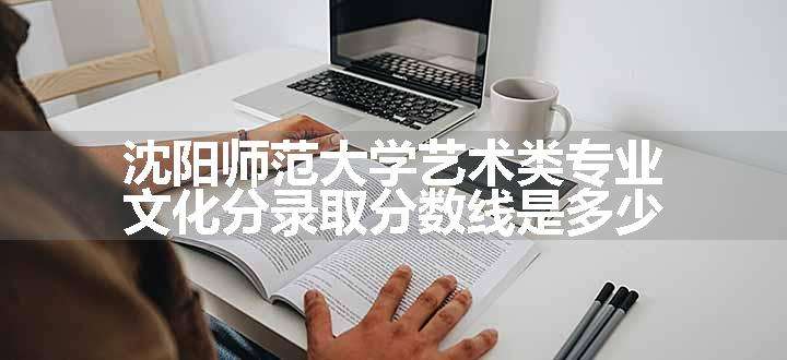 沈阳师范大学艺术类专业文化分录取分数线是多少