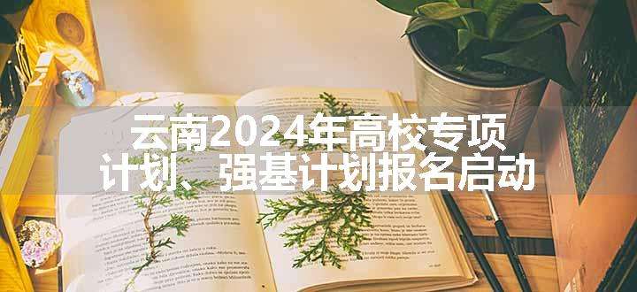 云南2024年高校专项计划、强基计划报名启动