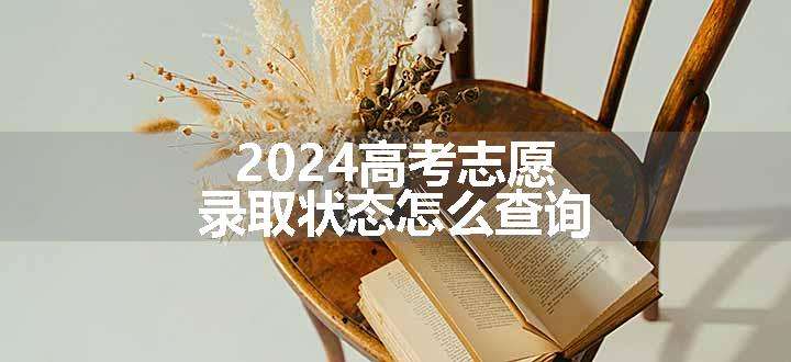 2024高考志愿录取状态怎么查询