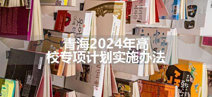 青海2024年高校专项计划实施办法