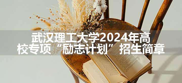 武汉理工大学2024年高校专项“励志计划”招生简章