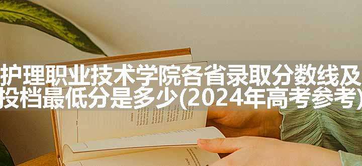 贵州护理职业技术学院各省录取分数线及位次 投档最低分是多少(2024年高考参考)