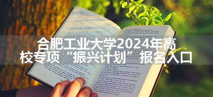 合肥工业大学2024年高校专项“振兴计划”报名入口