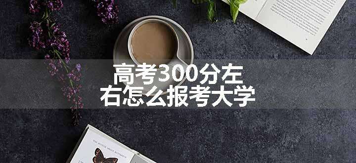 高考300分左右怎么报考大学