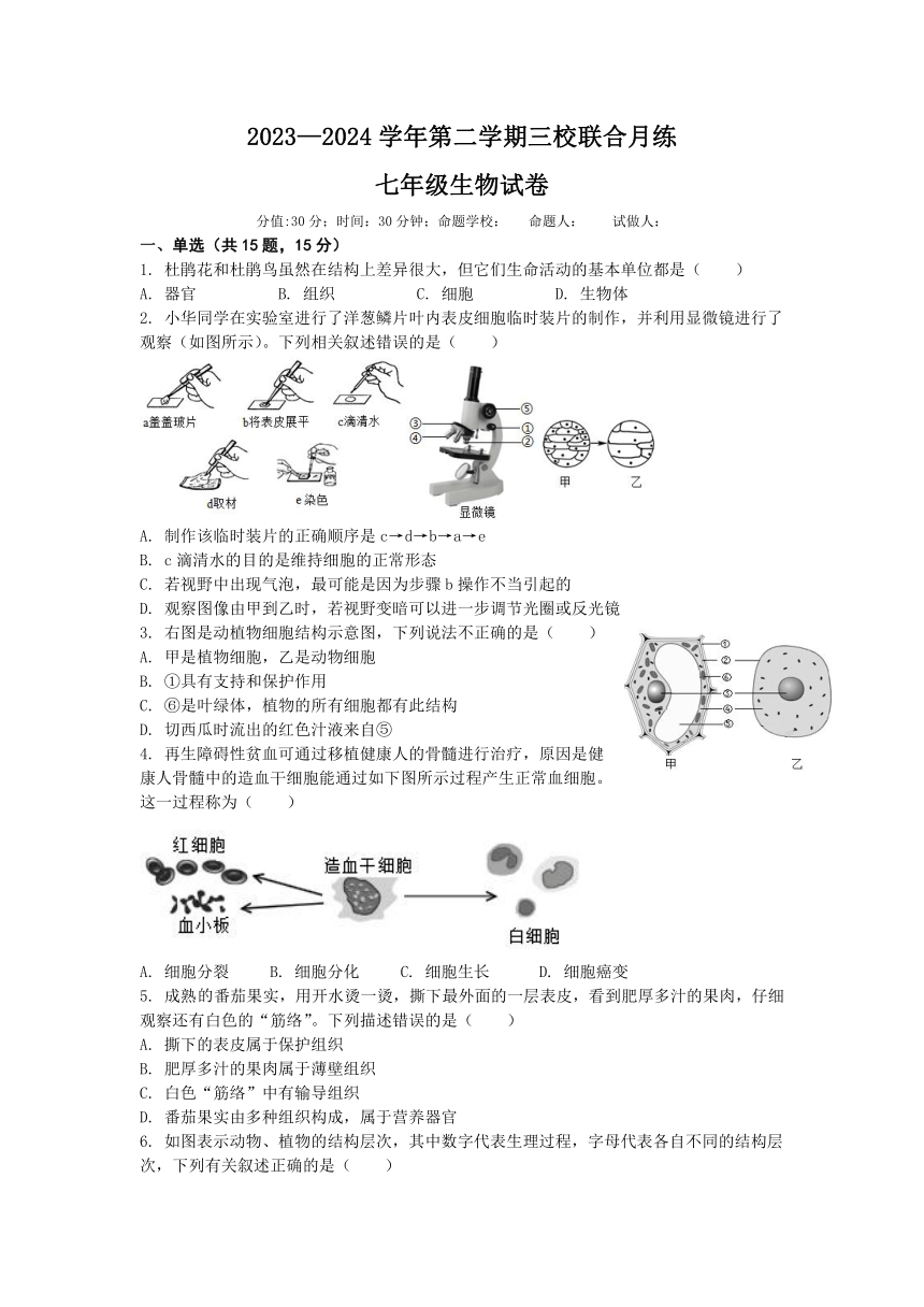 江苏省南通市平潮三校2023-2024学年七年级下学期第一次月考生物试卷（含答案）