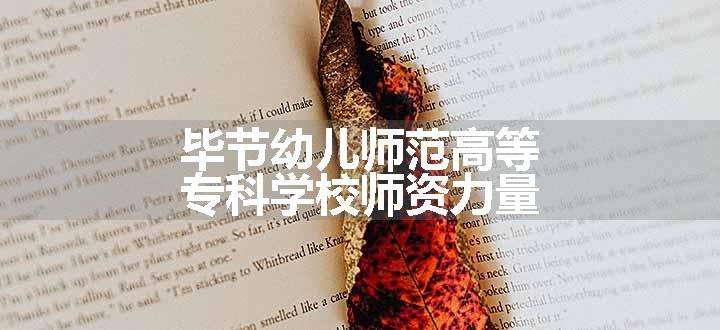 毕节幼儿师范高等专科学校师资力量