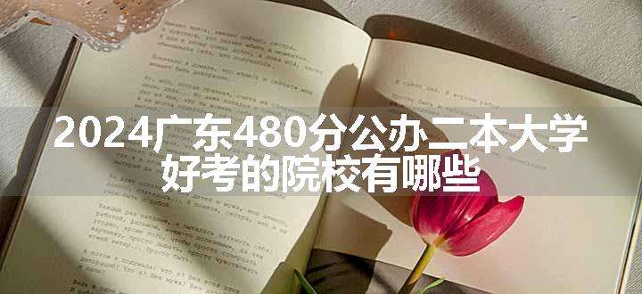 2024广东480分公办二本大学 好考的院校有哪些