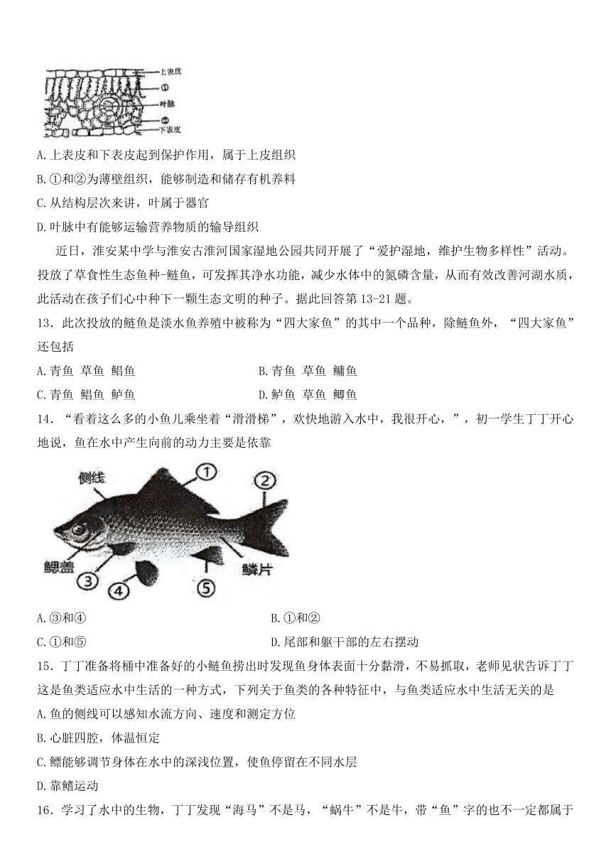 江苏省淮安市多校2023-2024学年七年级下学期4月期中生物试题（无答案）