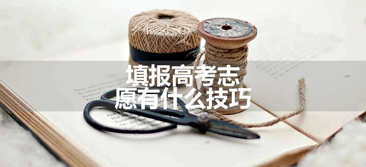 填报高考志愿有什么技巧