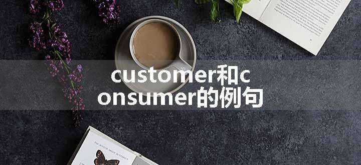 customer和consumer的例句