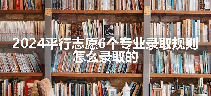 2024平行志愿6个专业录取规则 怎么录取的