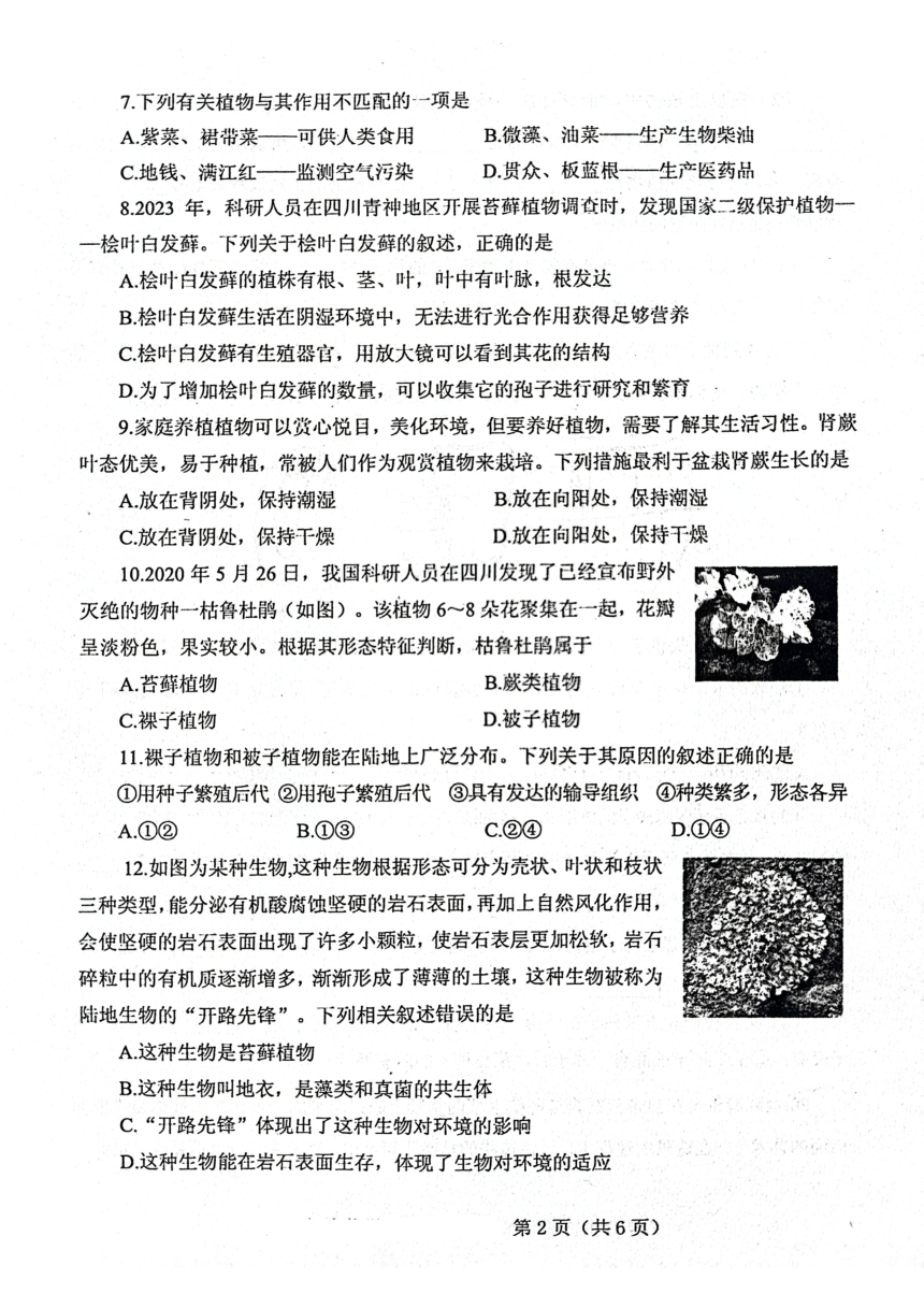 山东省泰安市肥城市边院镇初级中学2023—2024学年六年级下学期第一次月考生物试题（PDF版含答案）