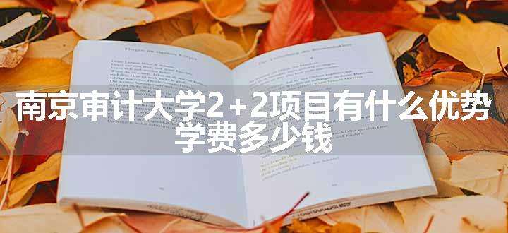 南京审计大学2+2项目有什么优势 学费多少钱