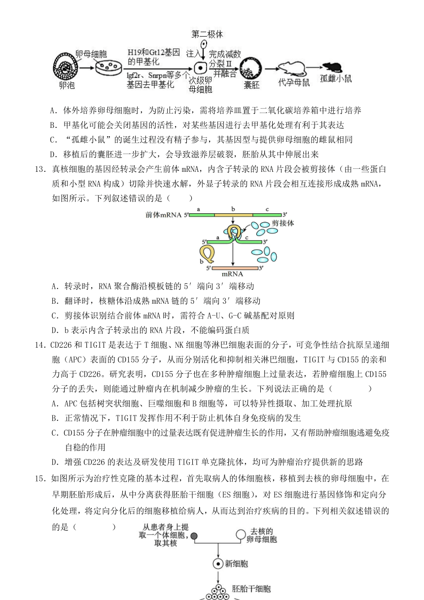 福建省三明市宁化市第一中学2023-2024学年高三下学期三明市质检模拟考试生物学试题（含答案）